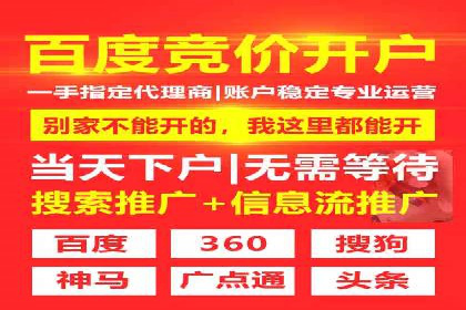 SEM网络推广案例：打造行业影响力品牌